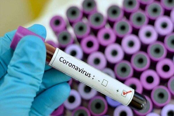 جدیدترین تدابیر سوریه برای مقابله با گسترش کرونا جدیدترین تدابیر سوریه برای مقابله با گسترش کرونا