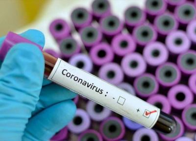 تست کاغذی تشخیص کروناویروس ساخته شد