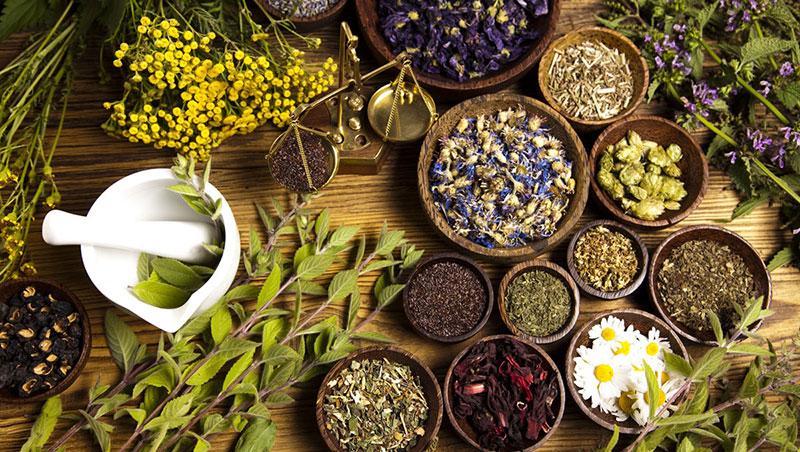 عصاره های گیاهی برای درمان بیماری دیابت نوع 2 معرفی شدند عصاره های گیاهی برای درمان بیماری دیابت نوع 2 معرفی شدند