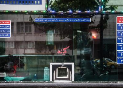 هفت ماه است سودی نداریم اما در سینما را تخته نمی کنیم!، سینماداران جانانه پای کار آمده اند