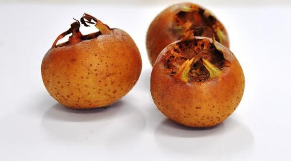 کالری ازگیل؛ 100 گرم ازگیل چقدر کالری دارد؟ کالری ازگیل؛ 100 گرم ازگیل چقدر کالری دارد؟
